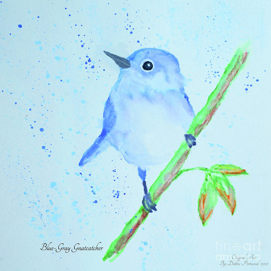 Gnatcatcher - Wikipedia