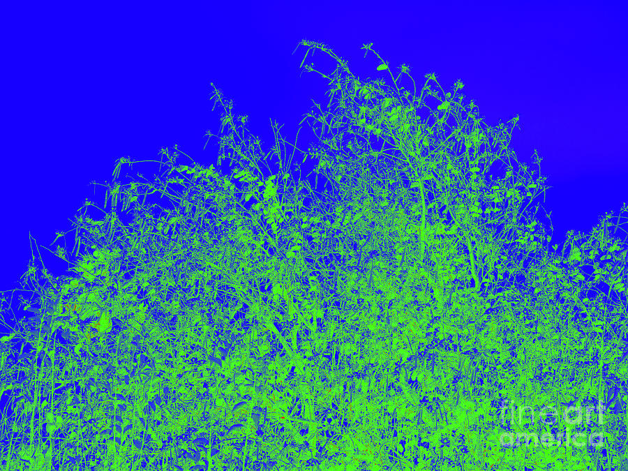 Abstract Photograph - Blue Green Abstract by Gary Richards