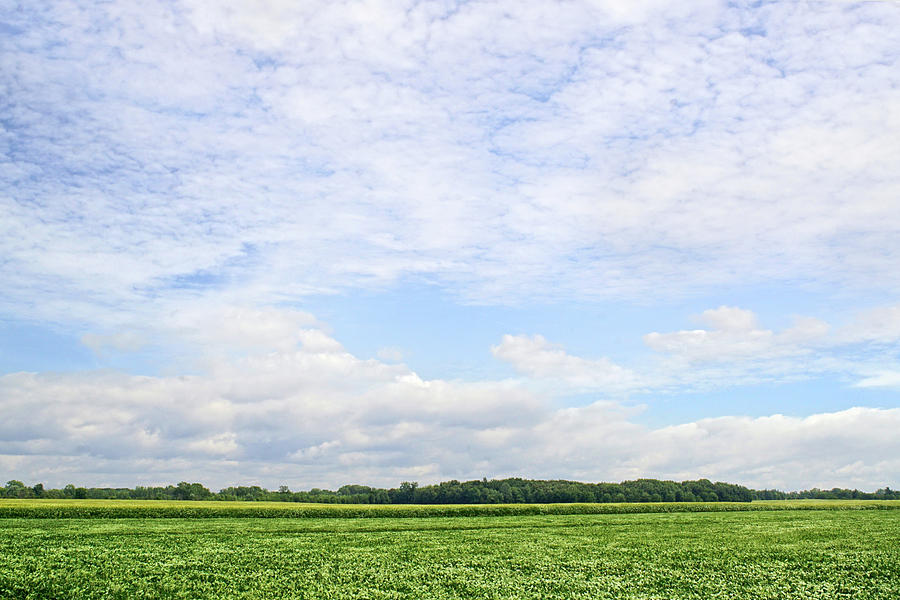 Blue Green Landscape Photograph by Kathi Mirto