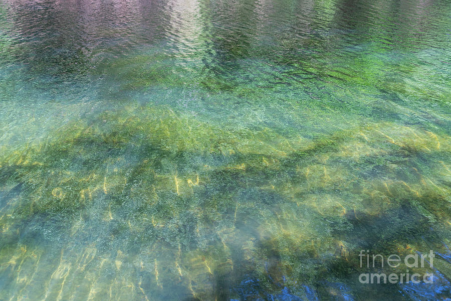 Blue-green summer dream by the lake 2 Photograph by Adriana Mueller