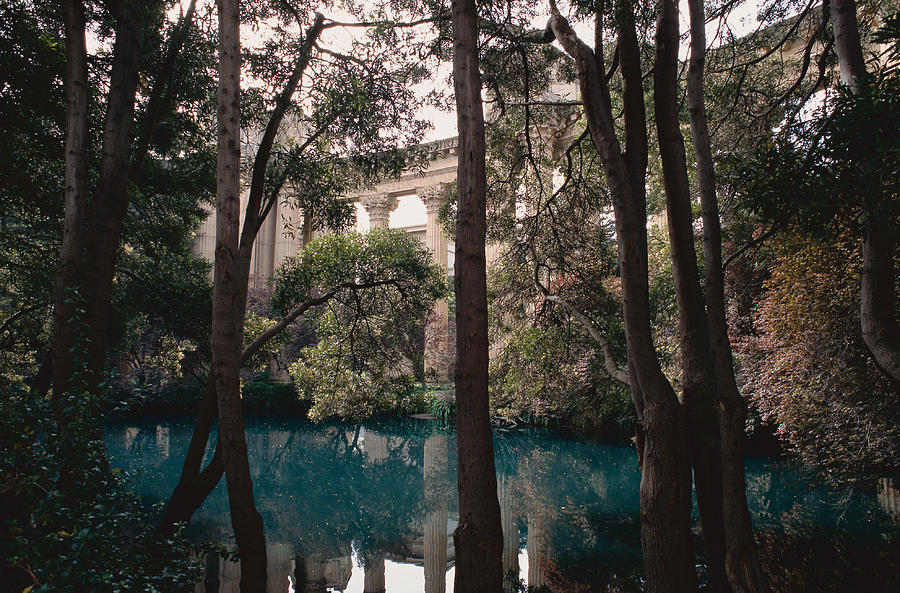 Blue-green Water Gathers Among Green Trees In Front Of Large White Pillars Supporting A Bridge Photograph by Photodisc