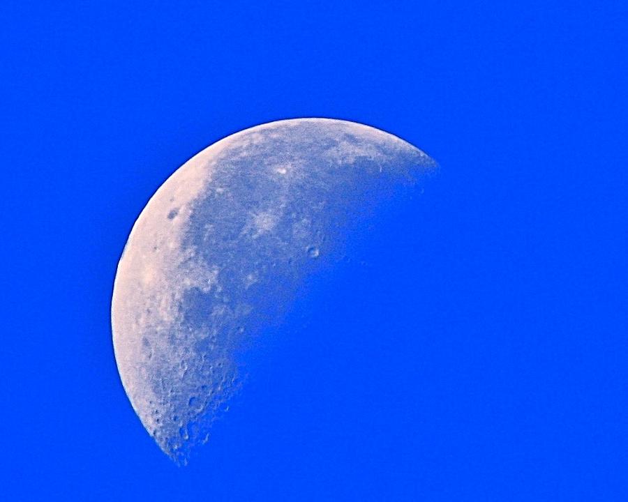 Blue Morning Moon Photograph