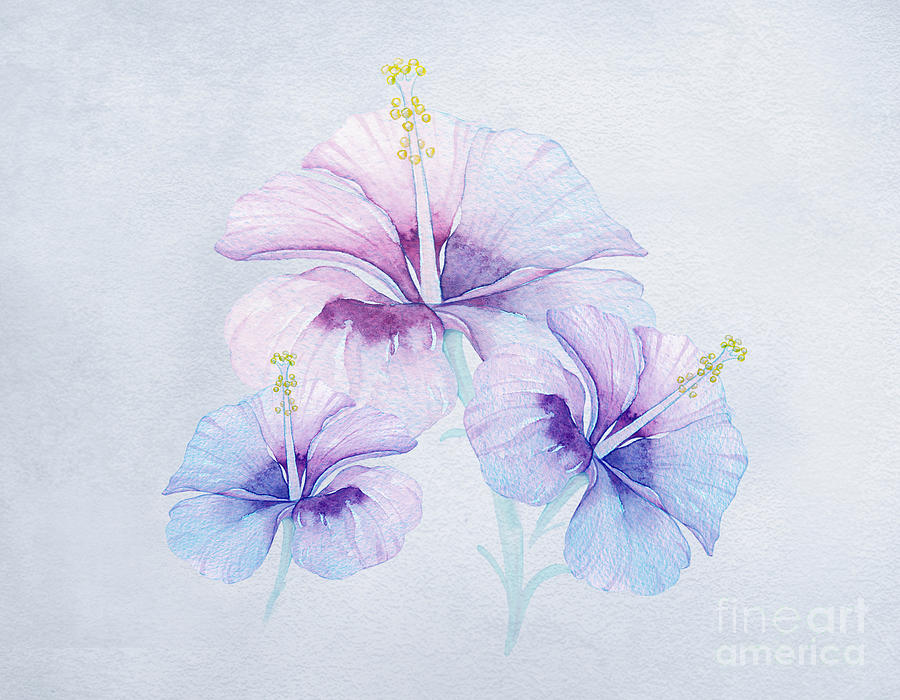 Blue Hawaiian Hibiscus Digital Art by J Marielle