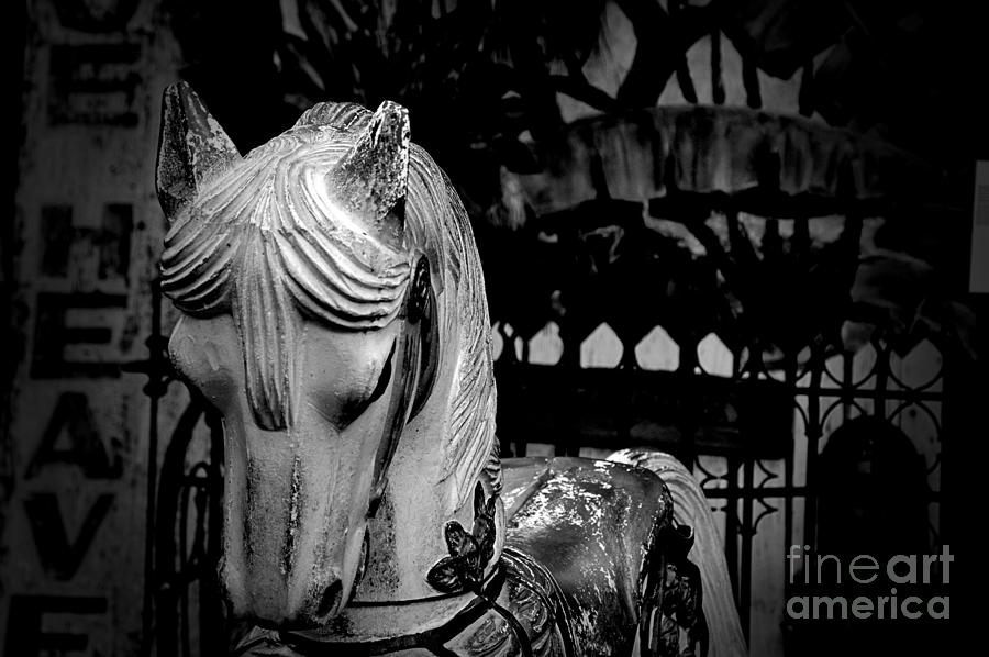 Blue Heaven Carousel Horse Photograph by Jan Prewett | Fine Art America