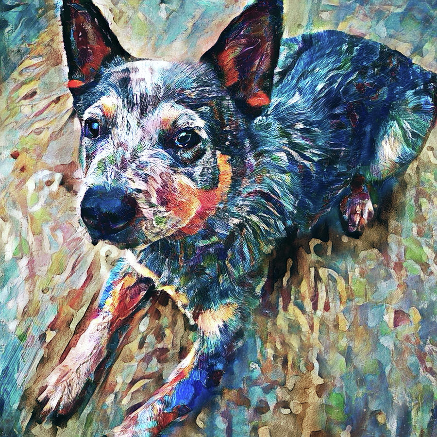 Blue Heeler - Australian Cattle Dog Art Digital Art by Peggy Collins