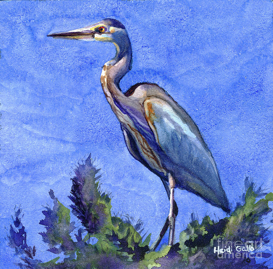 Blue Heron Painting by Heidi Gallo