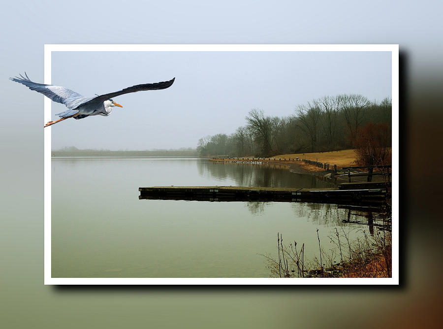 Blue Heron Landscape Photograph by James DeFazio