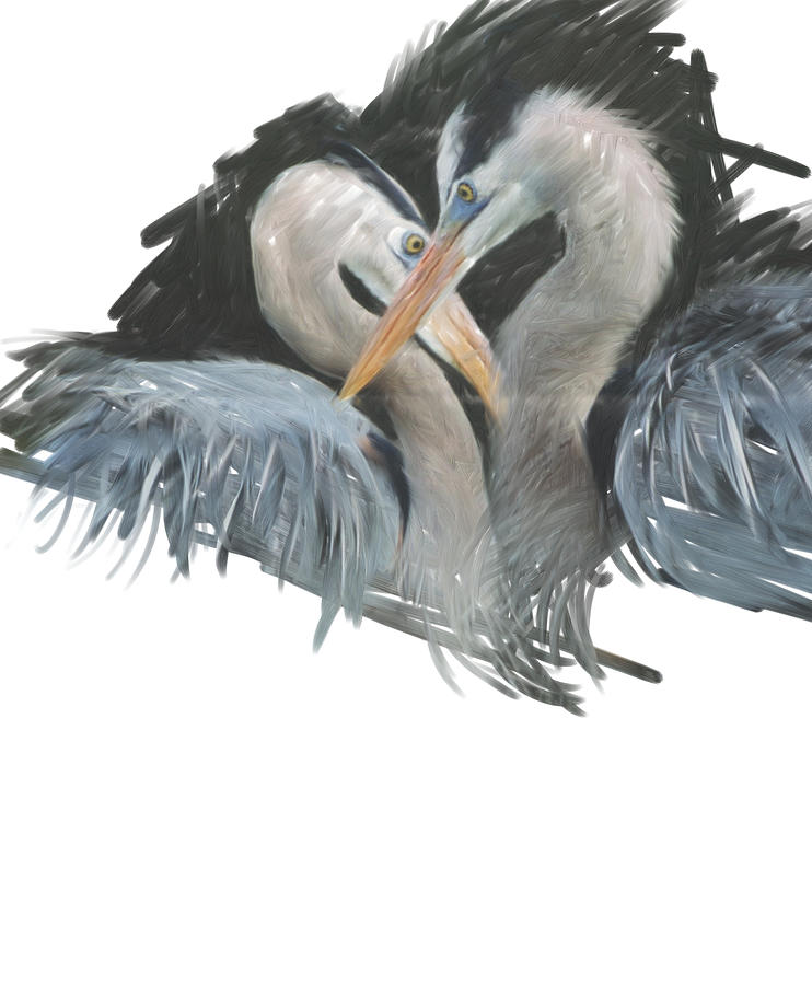 Blue Heron Love Digital Art by Cynthia Westbrook
