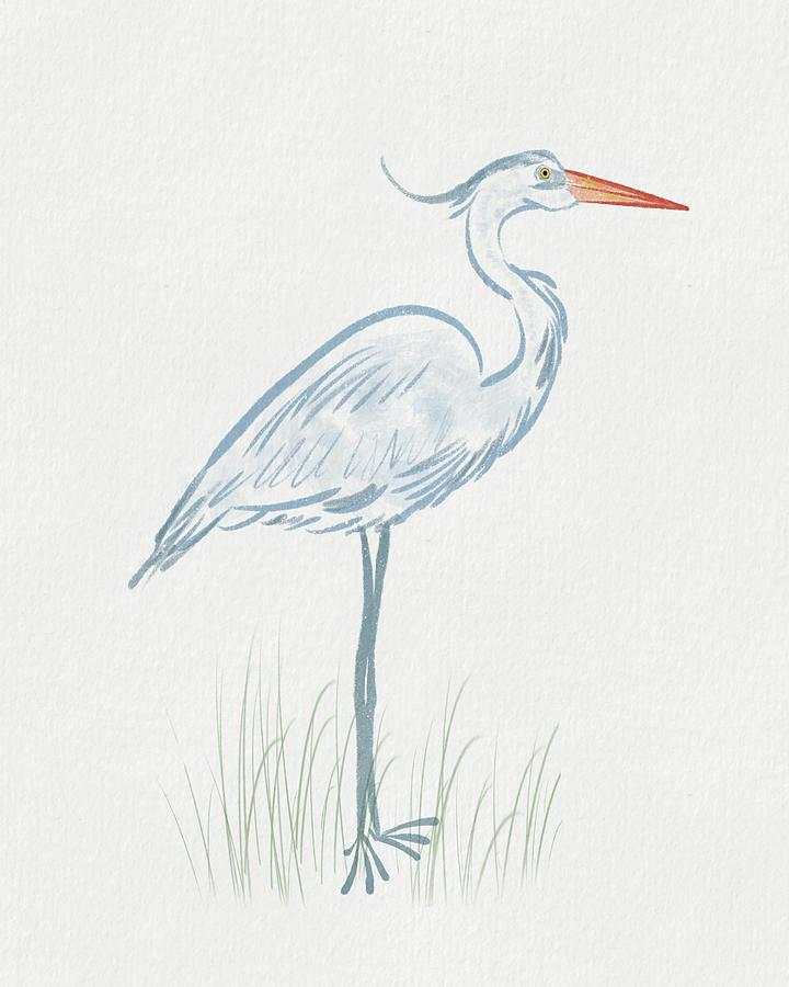 Blue Heron Minimal - Standing Tall Drawing