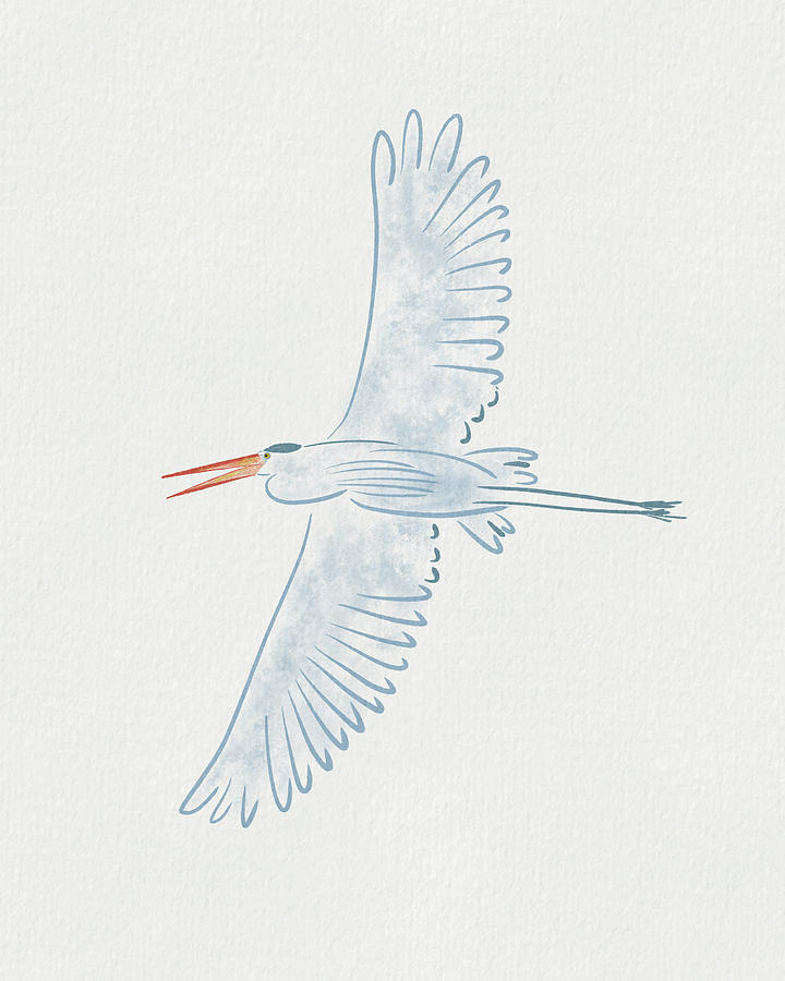 Blue Heron Minimal - Wingspan Drawing