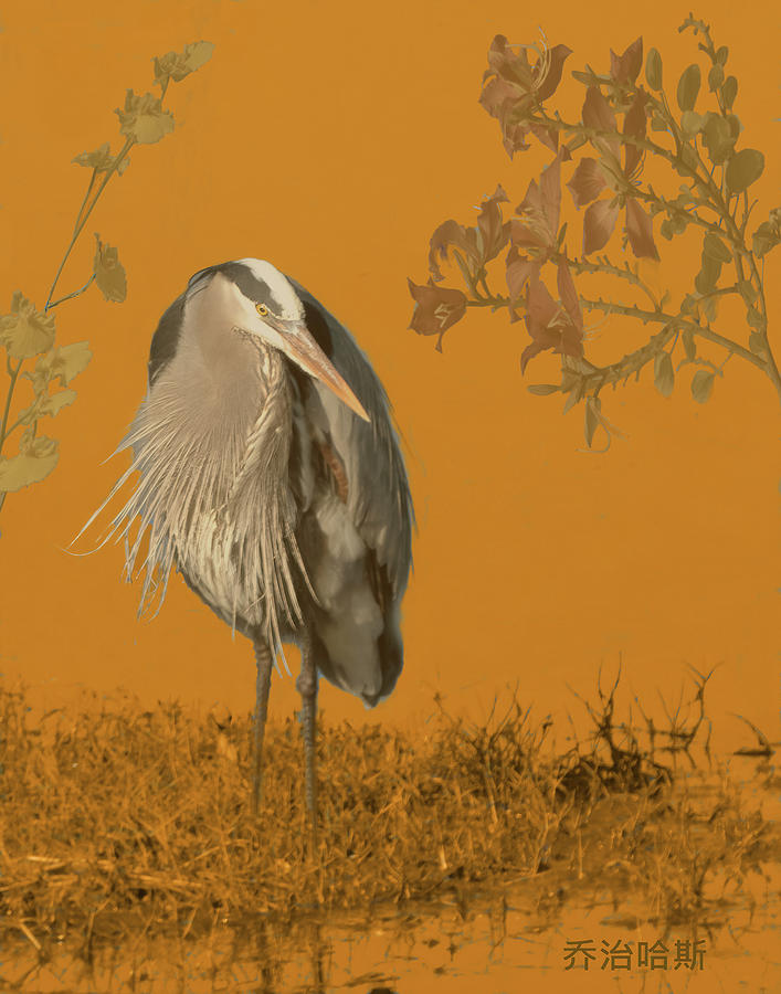 Blue Heron on Gold Photograph by George Harth