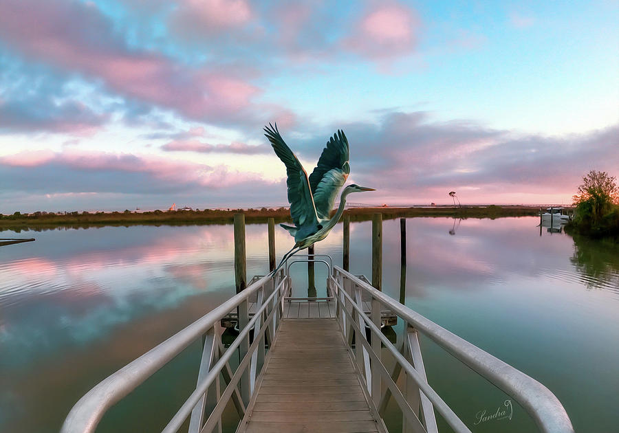 Blue Heron Park Photograph by Sandra Js
