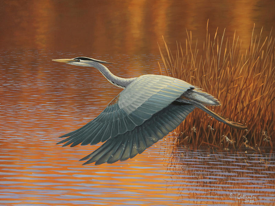 Blue Heron Taking Wing Painting by Guy Crittenden