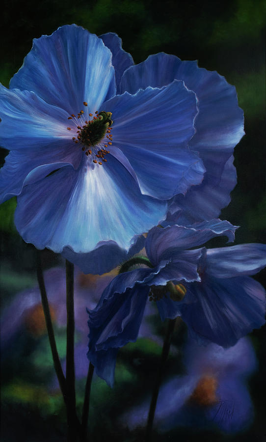 Blue Himalayan Poppy Painting by Lynne Pittard