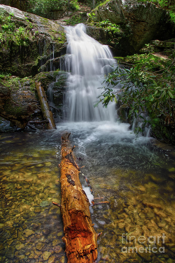 Blue Hole Falls 1 Photograph by Phil Perkins