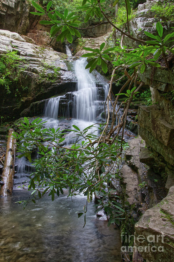Blue Hole Falls 14 Photograph by Phil Perkins