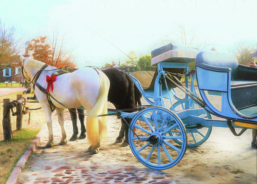 Blue Horse Drawn Carriage Rides in Colonial Williamsburg VA Photograph by Ola Allen
