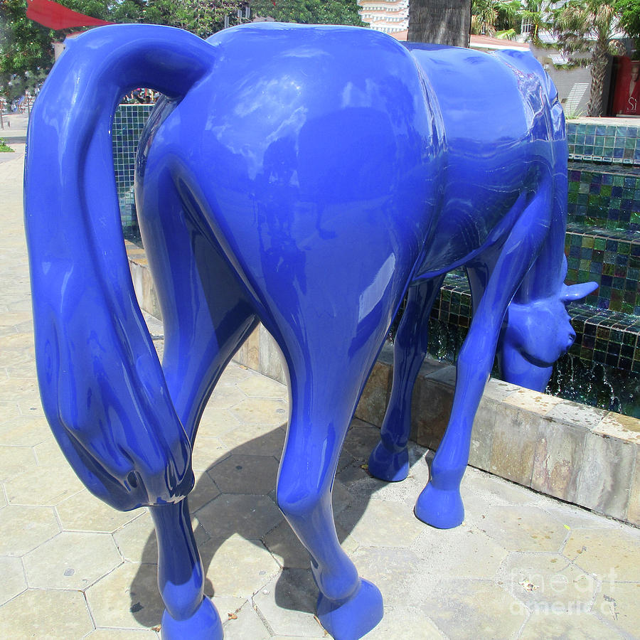 Blue Horse Photograph by Randall Weidner