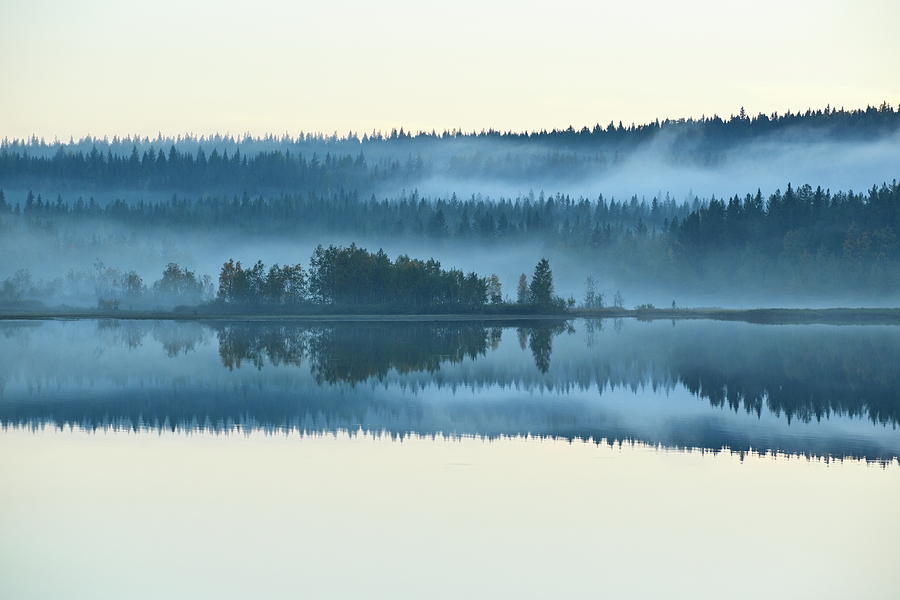 Blue hour at a smooth forest lake with rising mists Photograph by Ulrich Kunst And Bettina Scheidulin