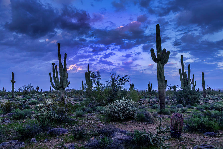 Blue Hour In The Desert Photograph by Lorraine Baum
