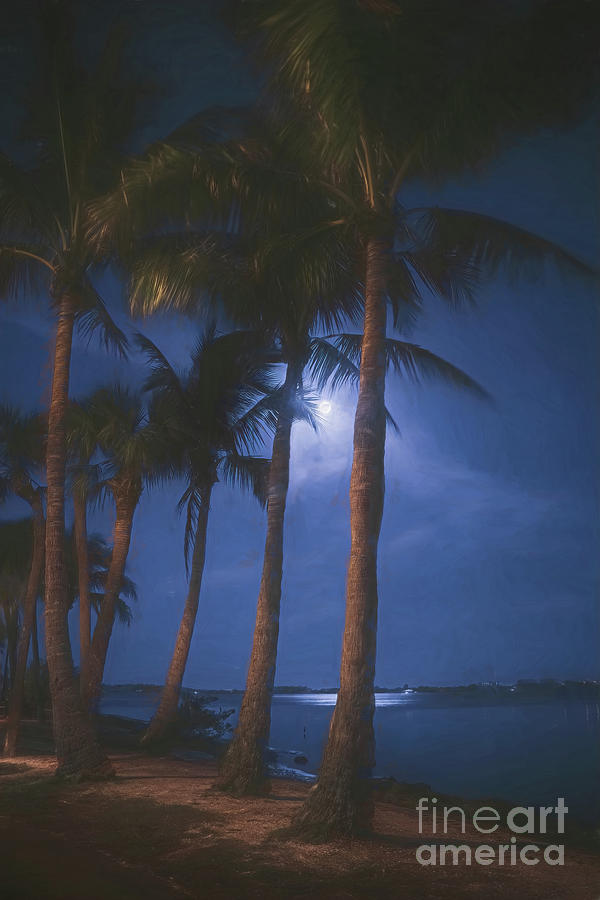 Blue Hour Moon on Bird Key, Sarasota, Florida, Painterly Photograph by Liesl Walsh