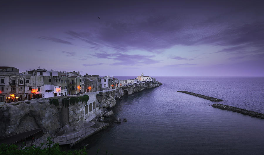 Blue Hour over Vieste, town on the rocks, Apulia, Italy Photograph by Stefano Orazzini