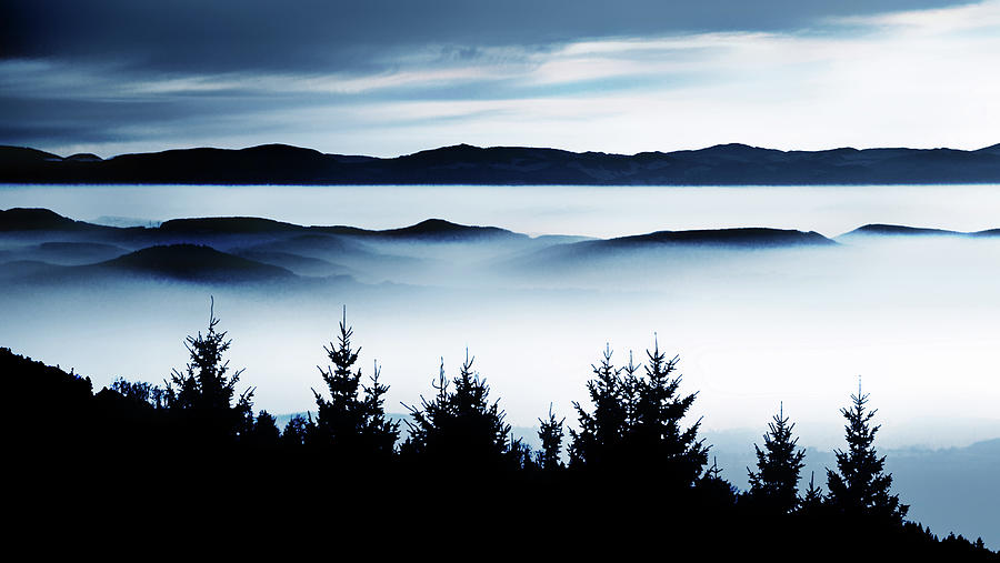 Blue Hour, the Valley of Fog Photograph by Imi Koetz