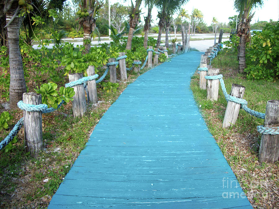 Rope Photograph - Blue Hue Pathway by Mary Mikawoz