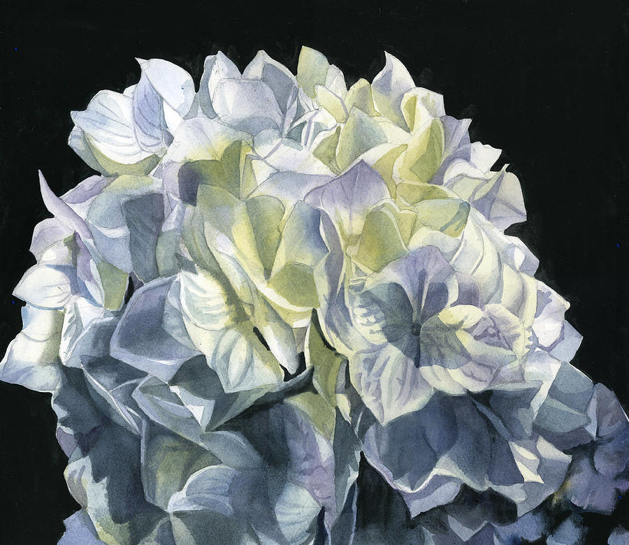 Blue Hydrangea Painting by Alfred Ng