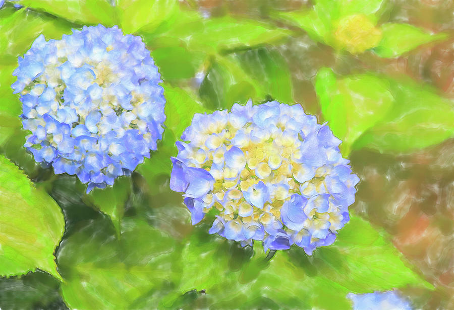 Blue Hydrangea Deux Watercolor Digital Art by Tanya Owens