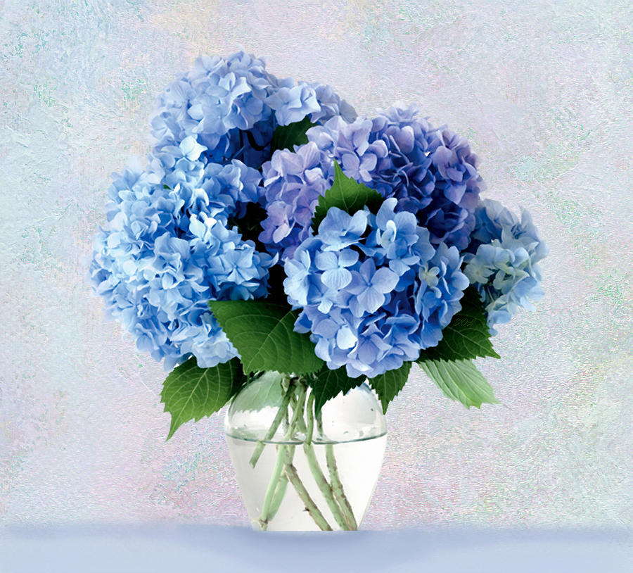 Blue Hydrangeas In Vase Mixed Media by Sandi OReilly