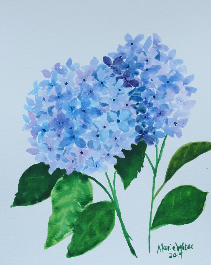 Blue Hydrangea Painting by Marie Weber - Fine Art America