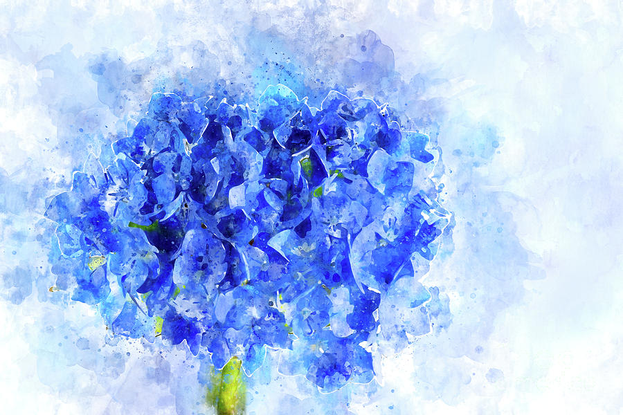 Blue Hydrangea Watercolor Photograph by Ann Garrett