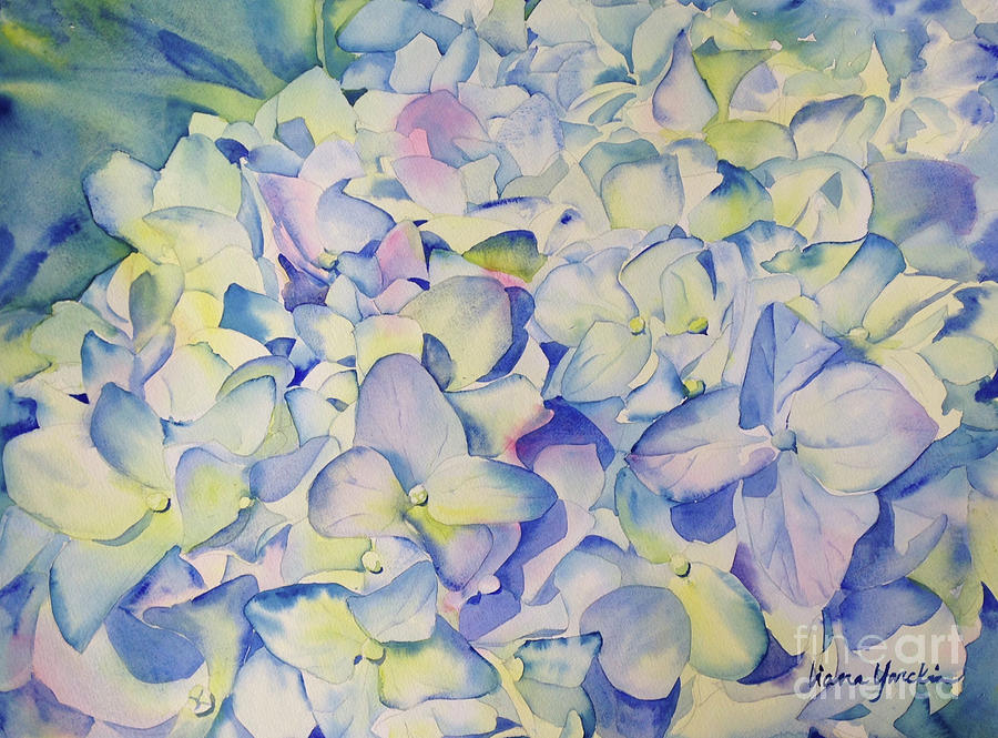 Blue Hydrangeas Painting by Liana Yarckin