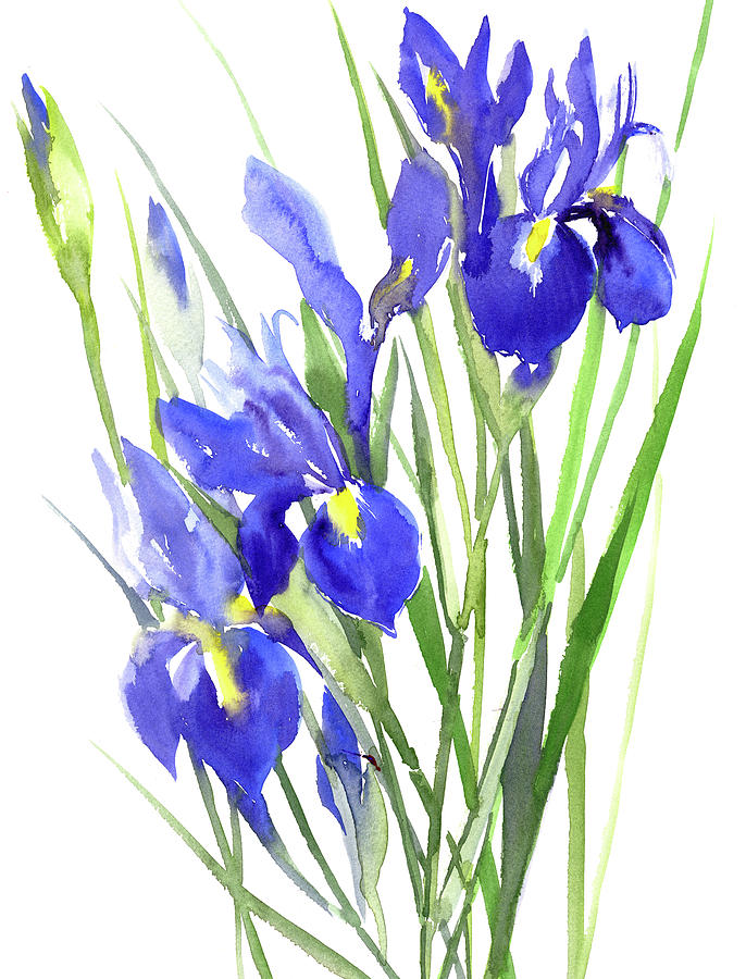Blue Iris Flowers Painting by Suren Nersisyan