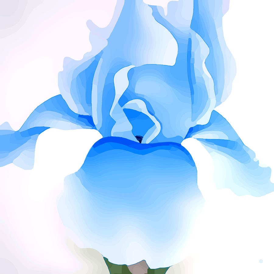 Iris Digital Art - Blue Iris by Gary Grayson