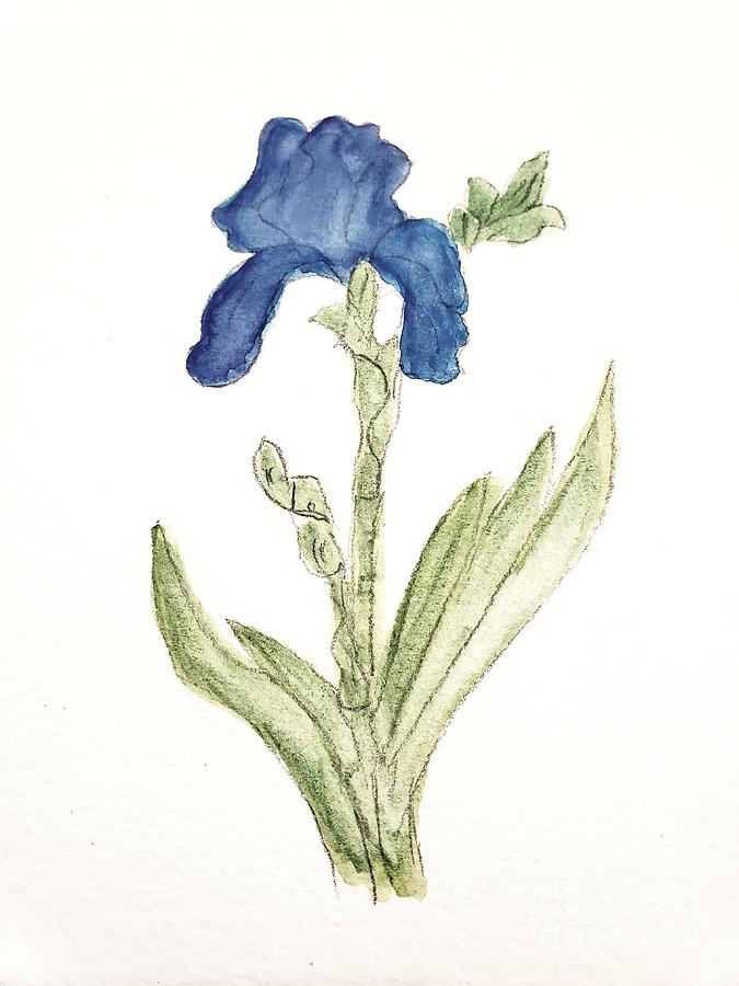 Blue Iris Painting by Margaret Welsh Willowsilk