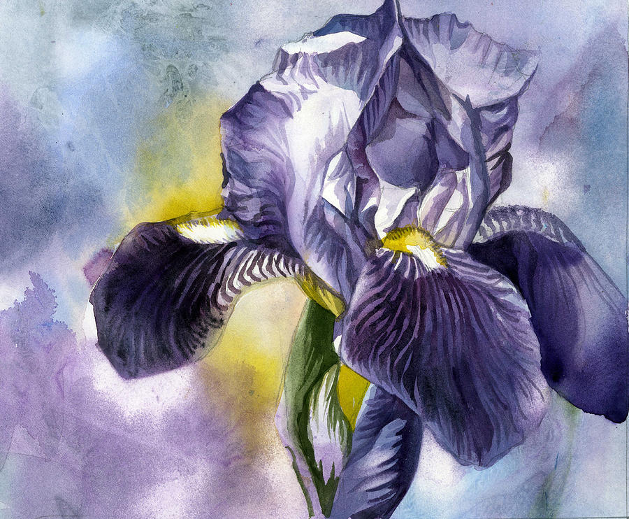 Blue Iris Watercolor Floral Painting by Alfred Ng