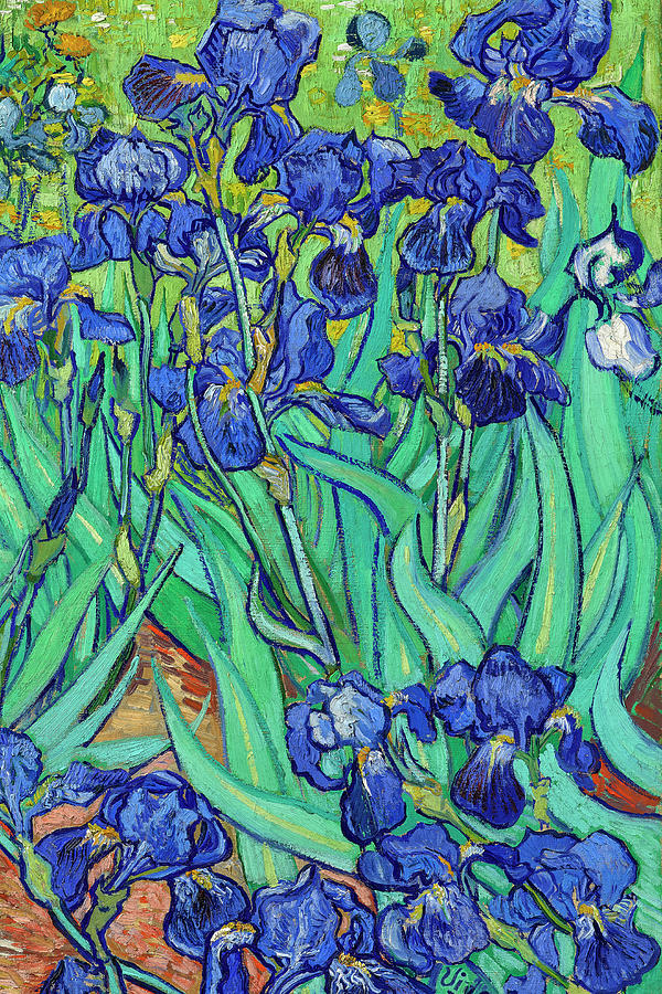 Blue Irises by Part Right Painting by JJ Art Collections - Fine Art America