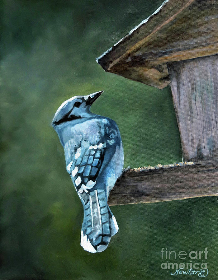 Blue Jay At Feeder Painting