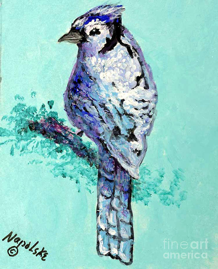 Blue Jay Painting by Barney Napolske