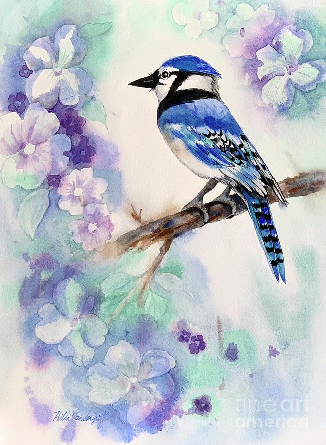 Blue Jay Bird Painting by Hilda Vandergriff