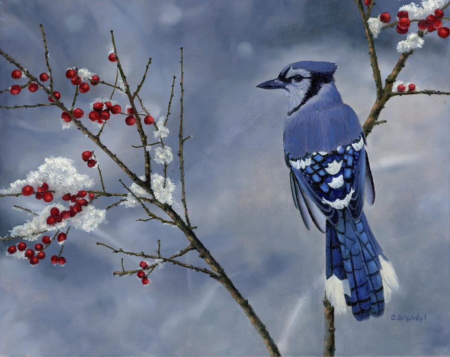 Blue Jay Painting by Cecilia Brendel