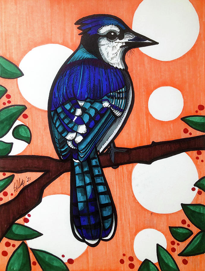 Blue Jay Drawing by Creative Spirit