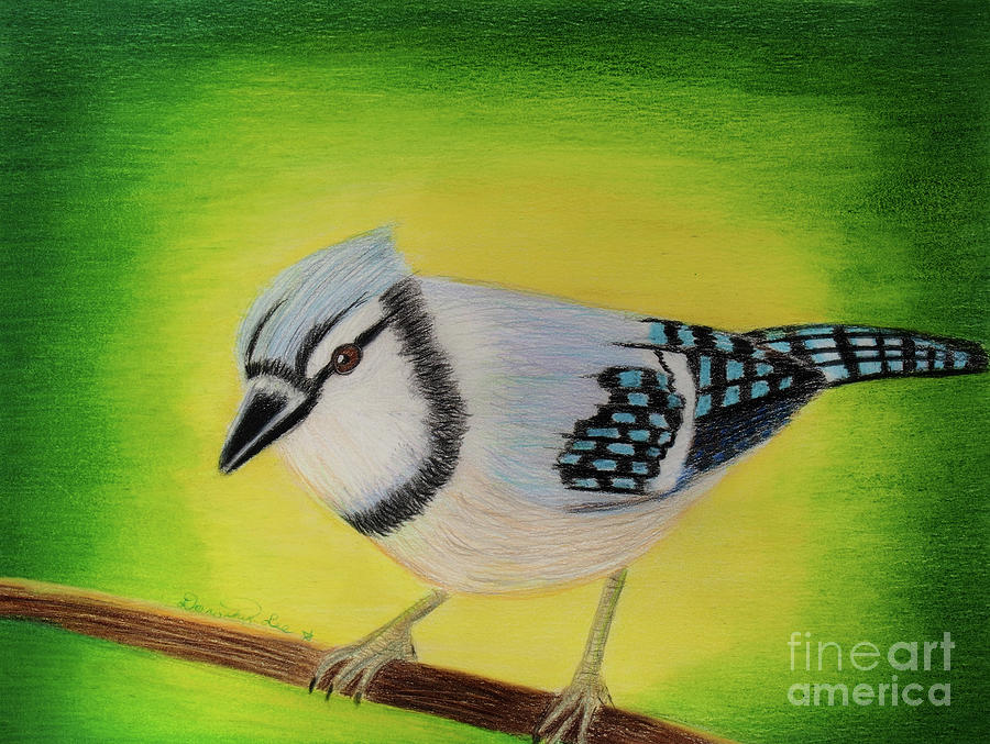 Blue Jay Painting by Dorothy Lee