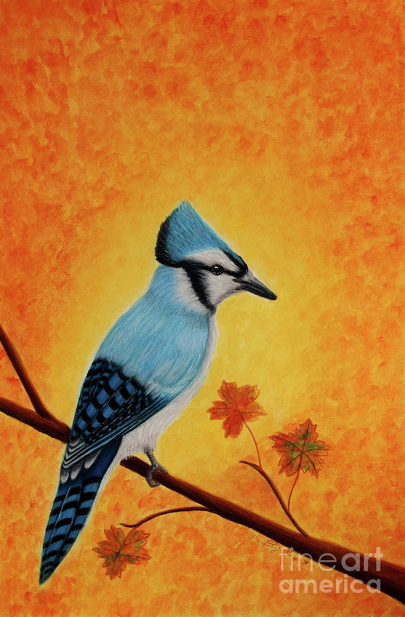 Blue Jay In Autumn Painting by Dorothy Lee