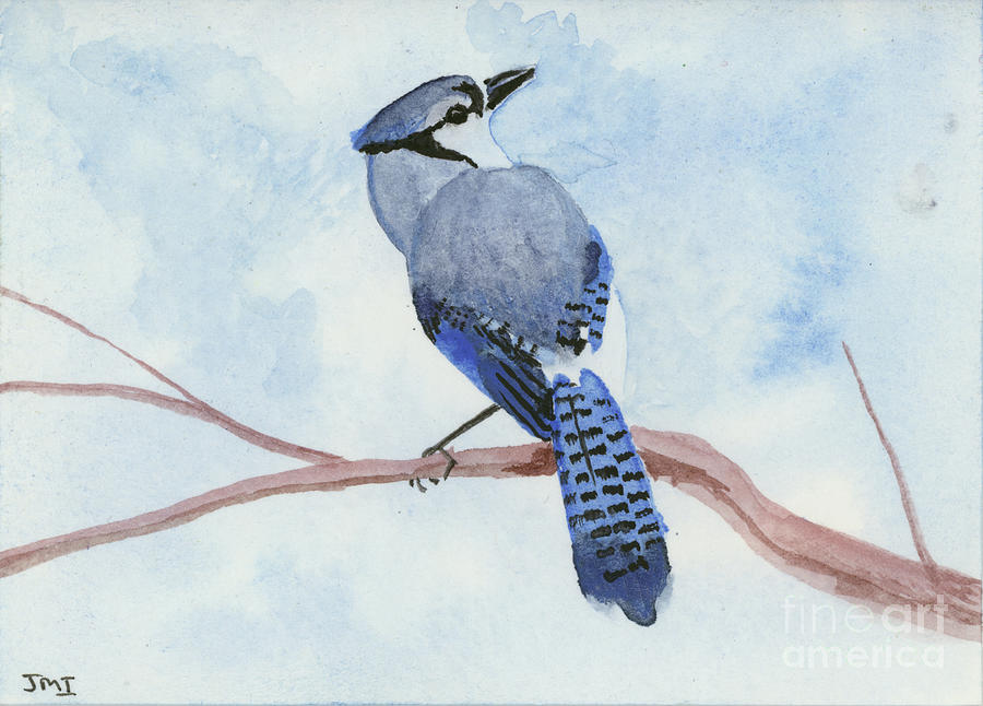 Blue Jay Painting by Jackie Irwin