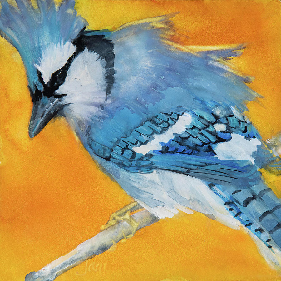 Blue Jay Painting by Jani Freimann