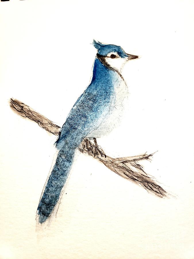 Blue Jay Painting by Margaret Welsh Willowsilk