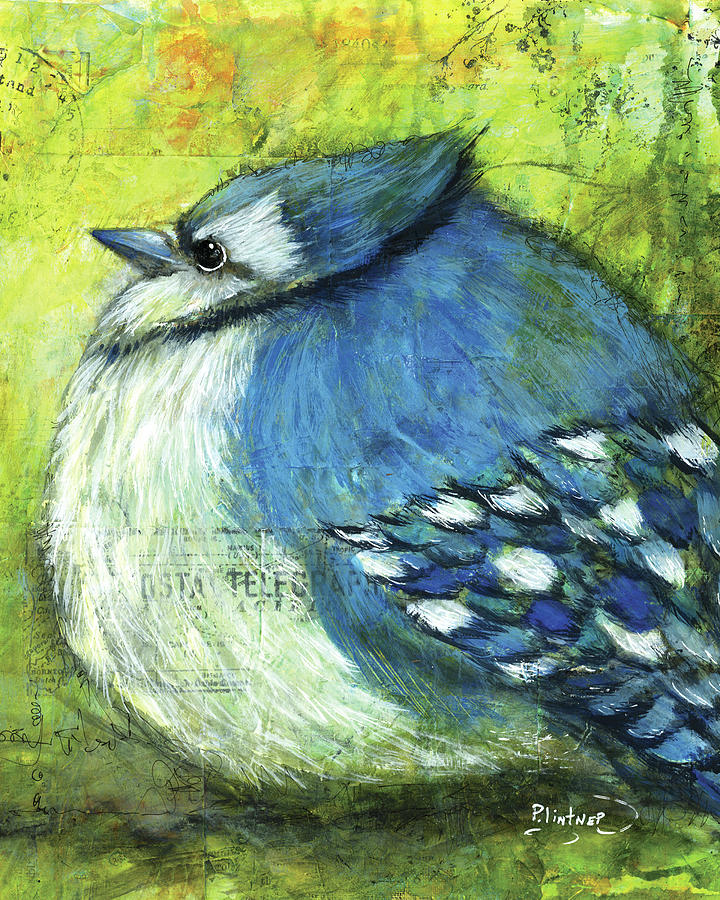 Blue Jay Painting by Patricia Lintner